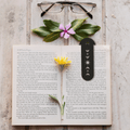 Bookmark - Eclipse